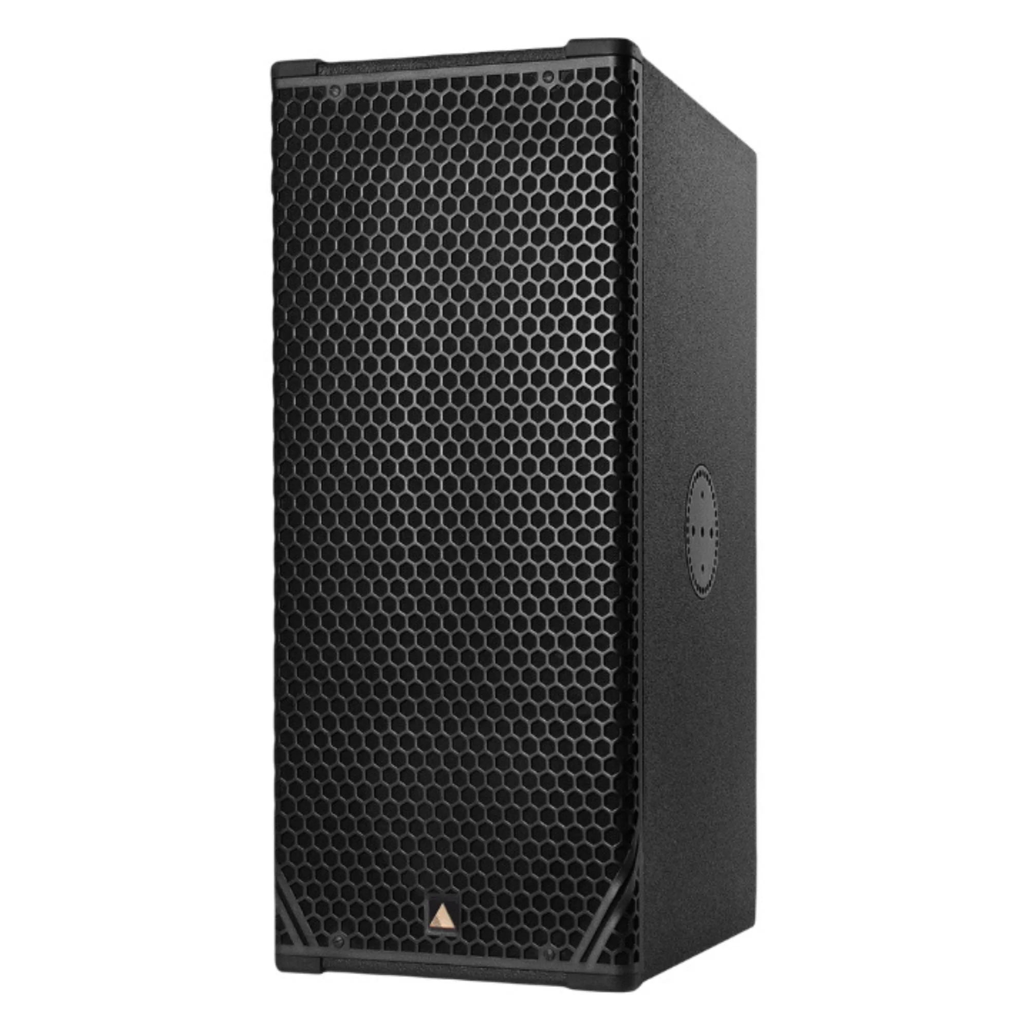 Adamson CS10P Active Point Source Loudspeaker - 100° x 50°