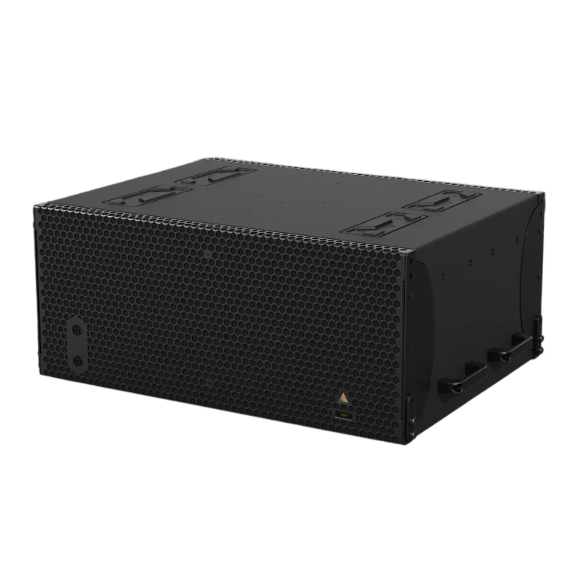 Adamson IS213 Passive Subwoofer