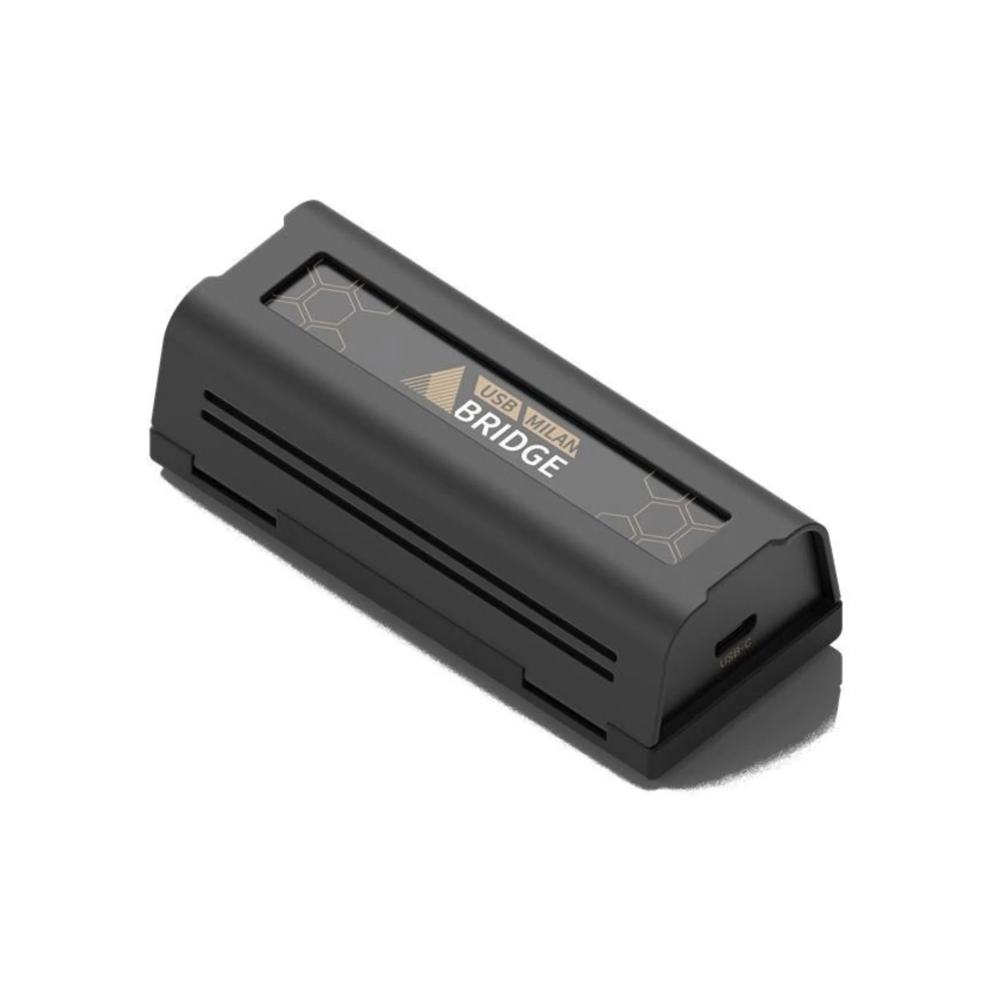 Adamson USB Milan Bridge