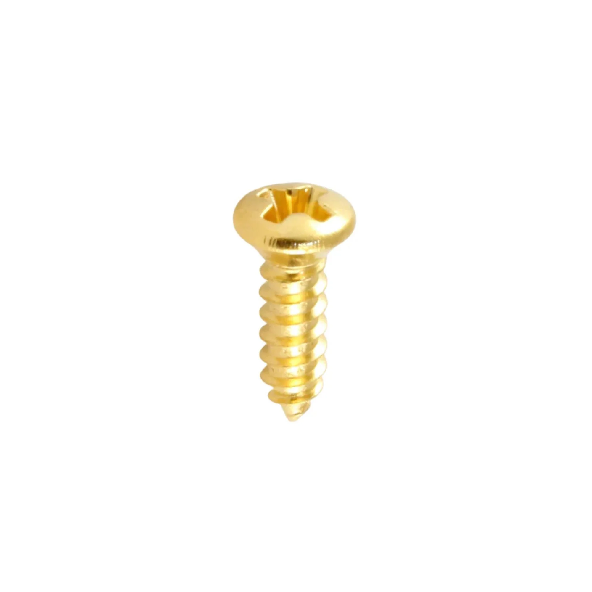 AMS GP957G Scratchplate Screw in Gold