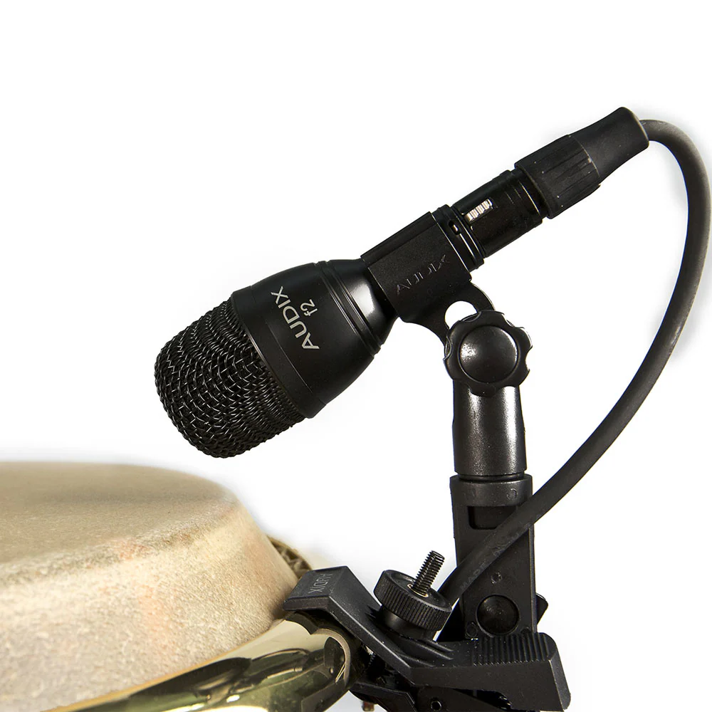 Audix F2 Dynamic Instrument Microphone - Image 2
