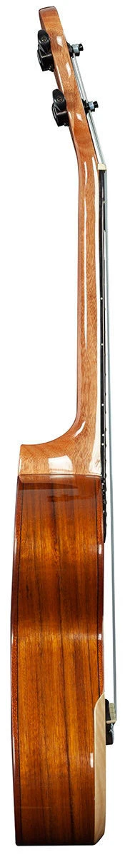 Barnes & Mullins BMUK5T Tenor Ukulele in Walnut - Image 6