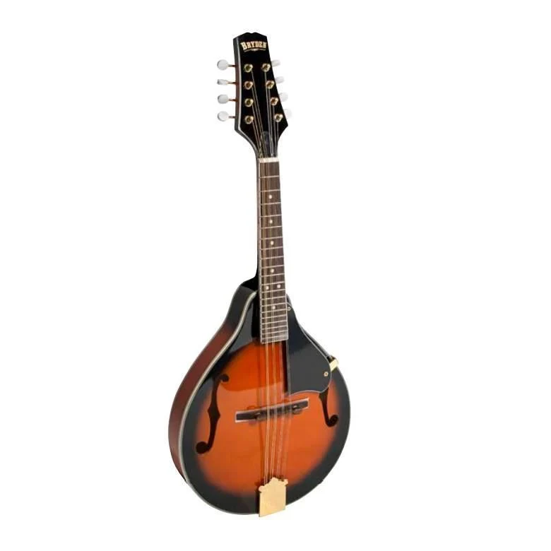 Bryden SMA1PK Mandolin Ultimate Beginners Kit - Image 4