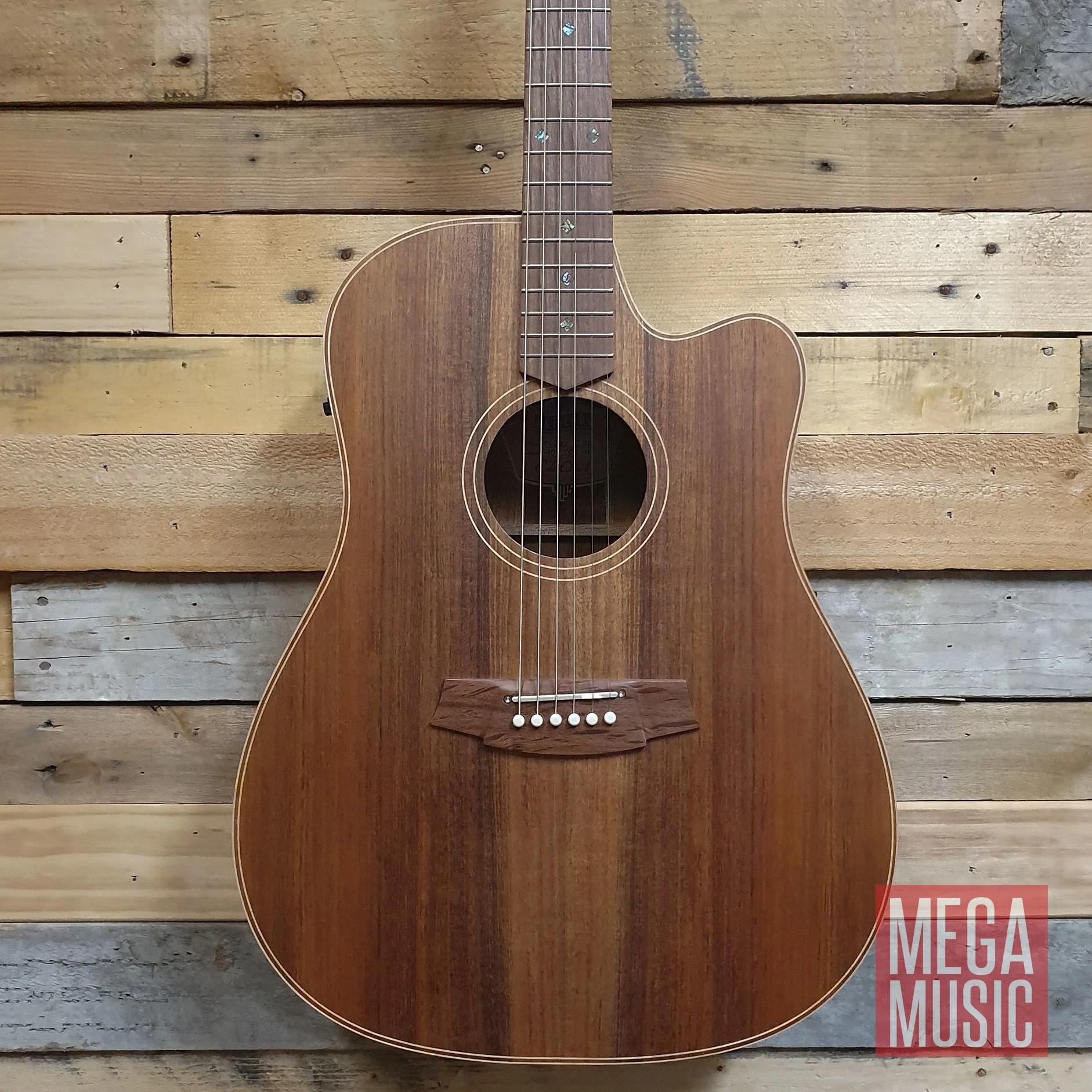 Cole Clark Fat Lady 2 Acoustic Guitar - All Blackwood (CCFL2ECBLBL) - Image 2