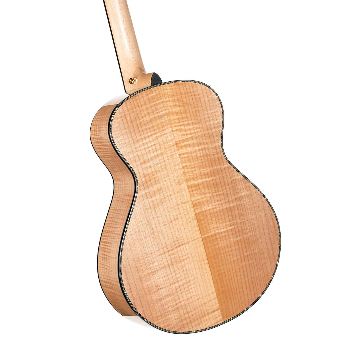 Cort Gold Passion Acoustic Guitar w/Soft Case - Gloss Natural - Image 6