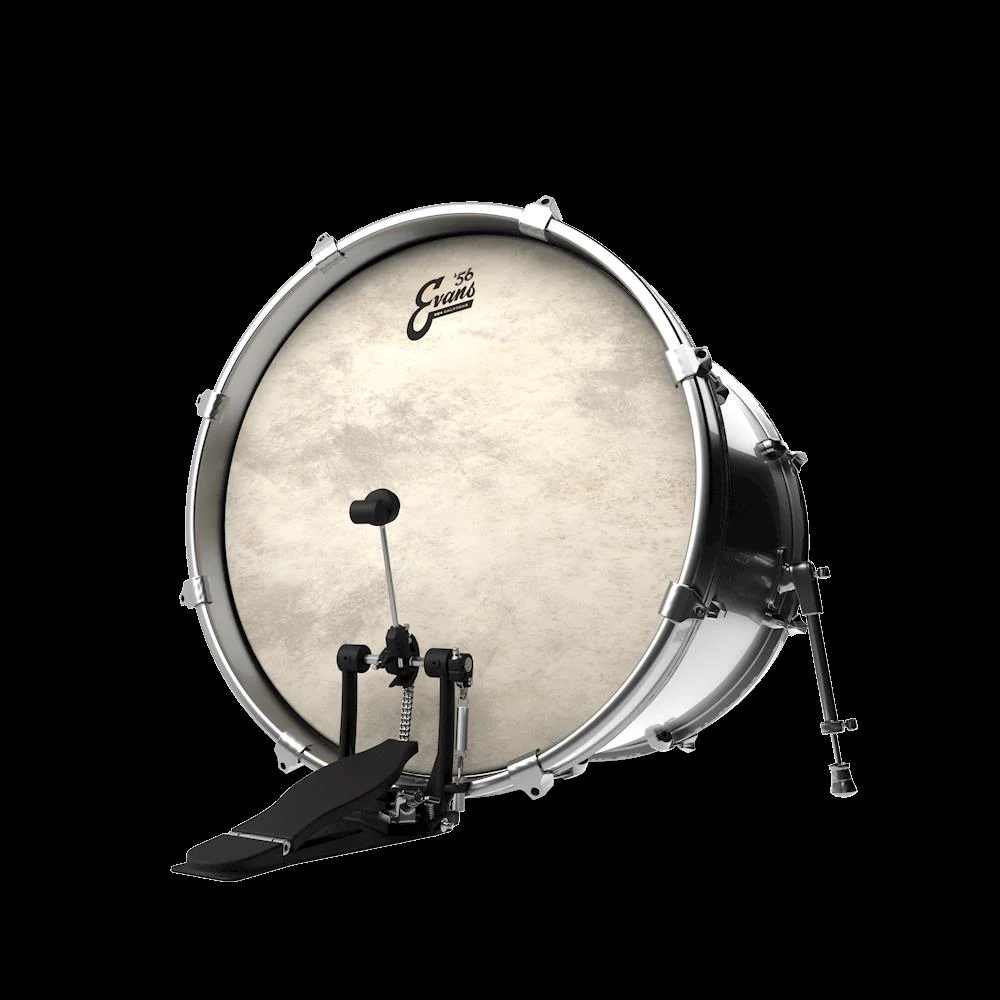 Evans Calftone EQ4 Bass Drum 18 Inch - Image 6