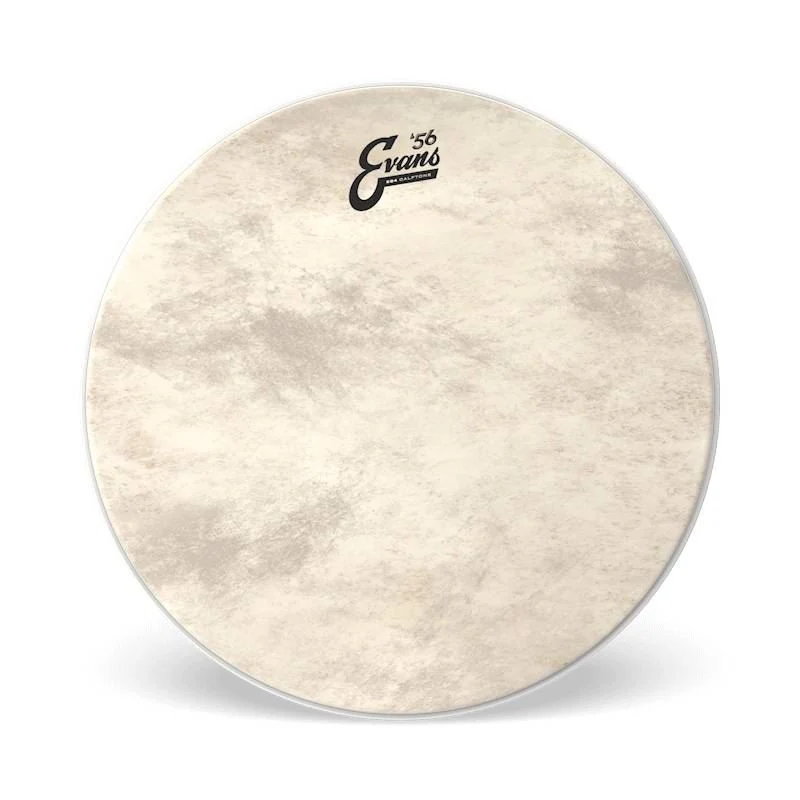 Evans Calftone EQ4 Bass Drum 24 Inch - Image 4