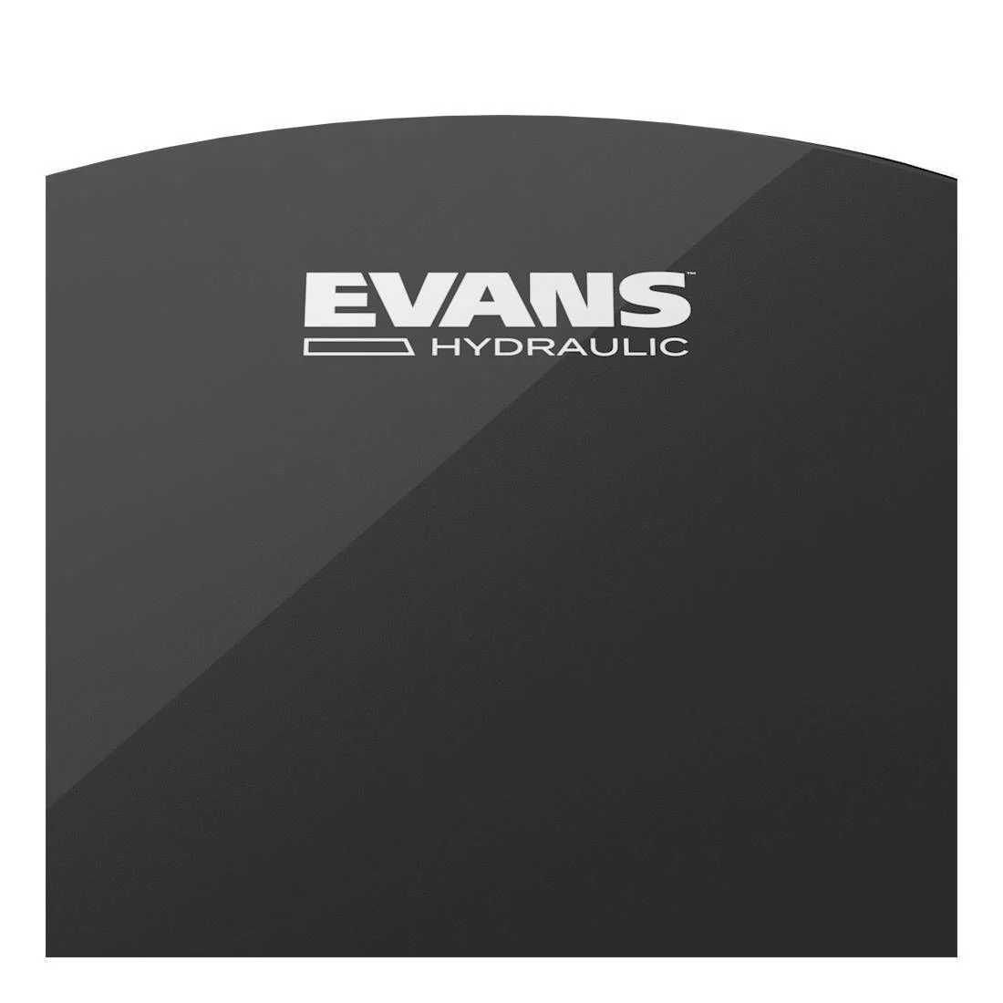Evans Hydraulic Black Bass Drum Head, 22 Inch - Image 4