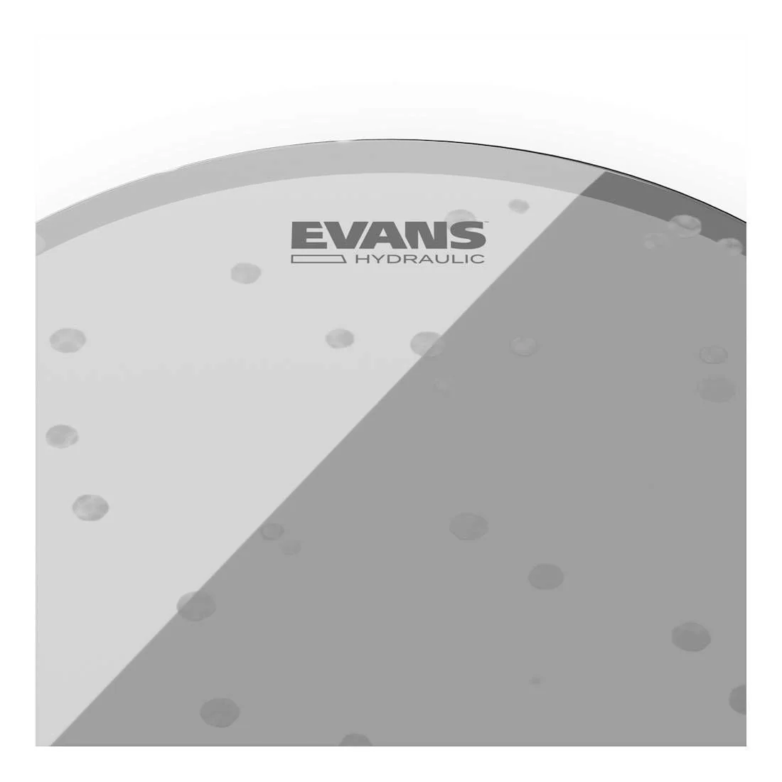Evans Hydraulic Glass Drum Head, 15 Inch - Image 3