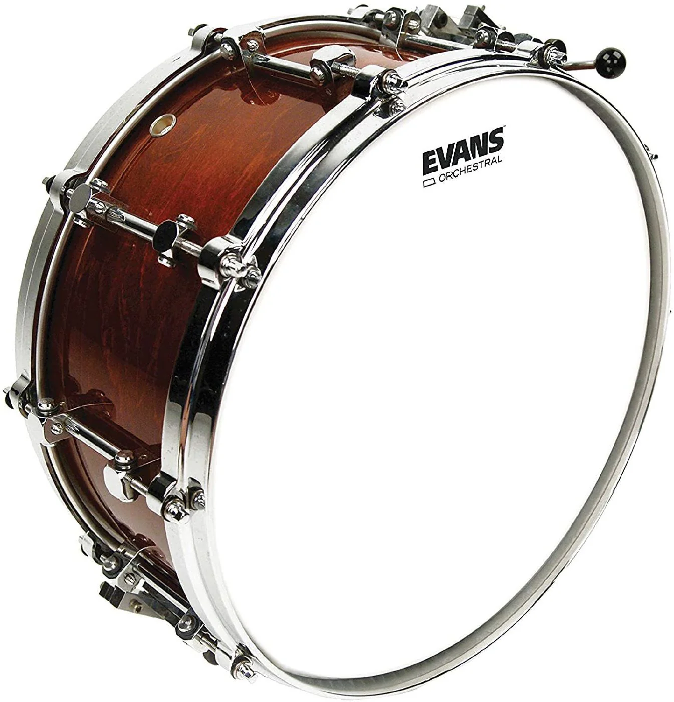 Evans Orchestral Coated White Snare Drum Head, 14 Inch - Image 2
