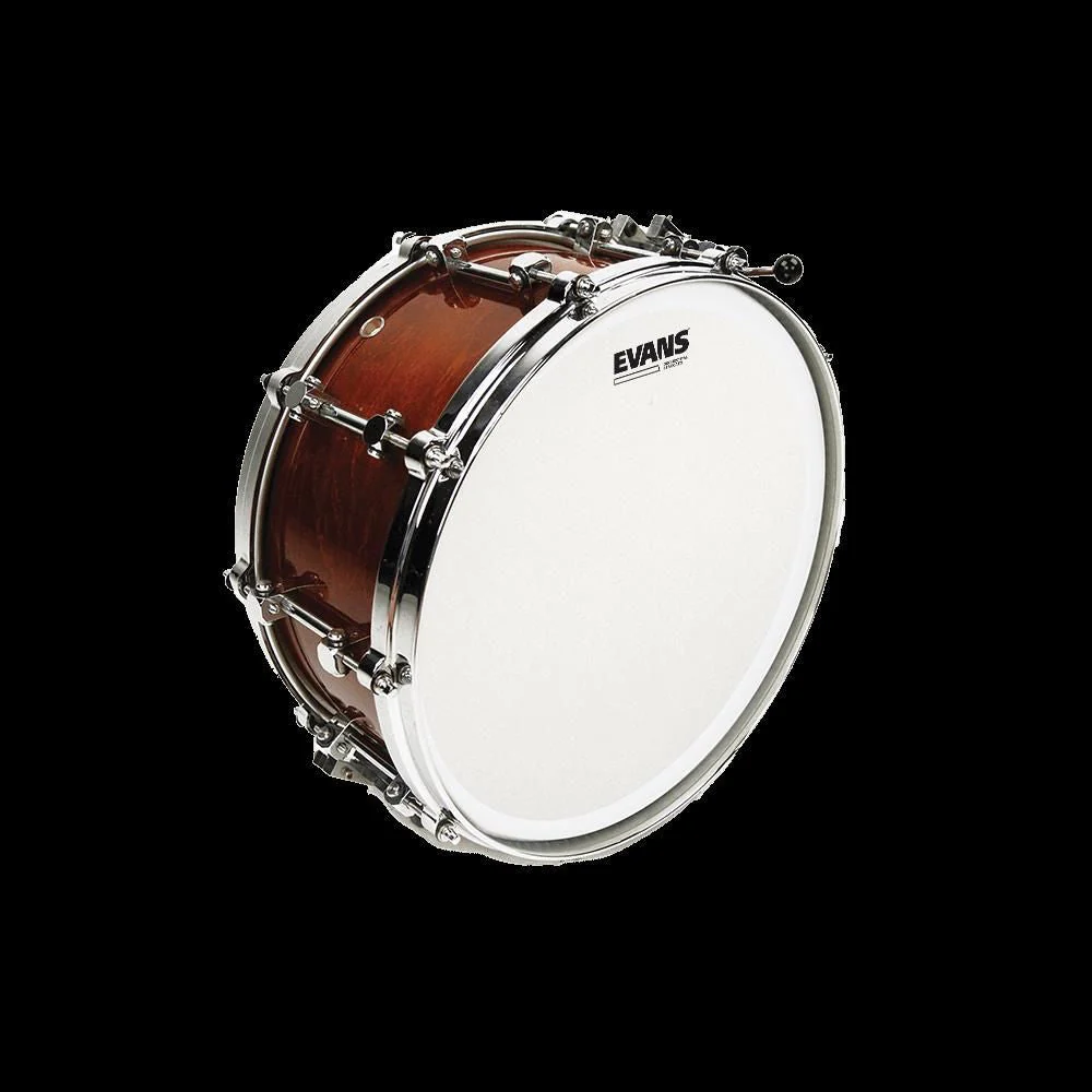 Evans Orchestral Stacatto Coated White Snare Drum Head, 14 Inch - Image 2