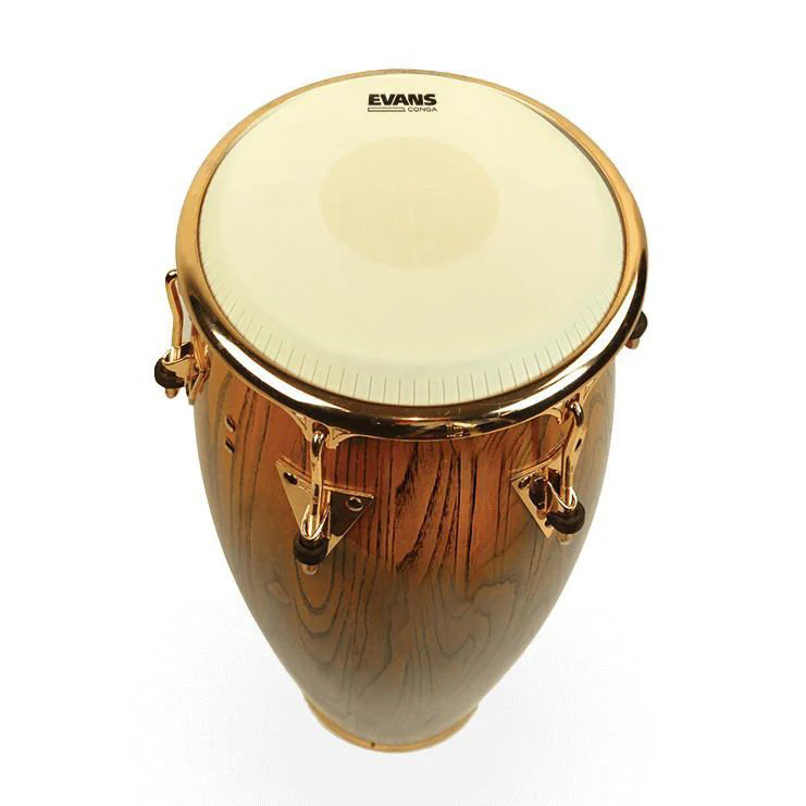 Evans Tri-Center Conga Drum Head, 11.00 Inch - Image 4
