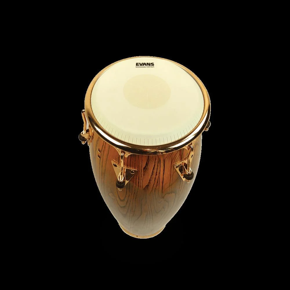 Evans Tri-Center Extended Collar Conga Drum Head, 11.75 Inch - Image 2