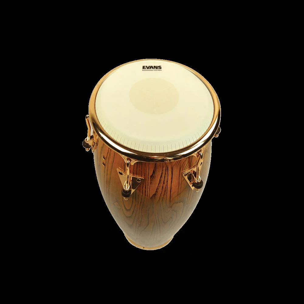 Evans Tri-Center Extended Collar Conga Drum Head, 12.50 Inch - Image 4
