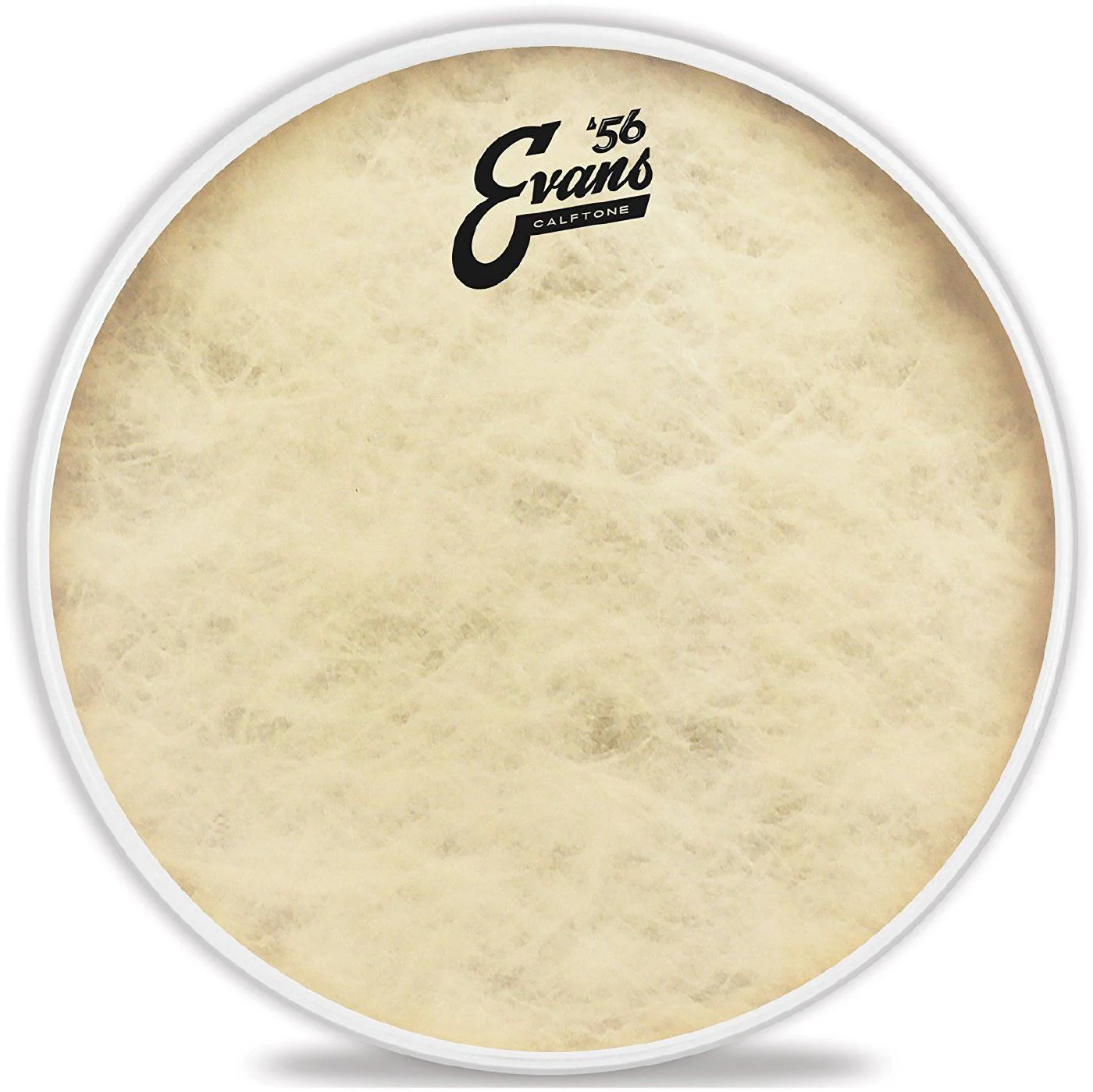 Evans TT14C7 Calftone Tom Batter Drumhead - 14 Inch - Image 3