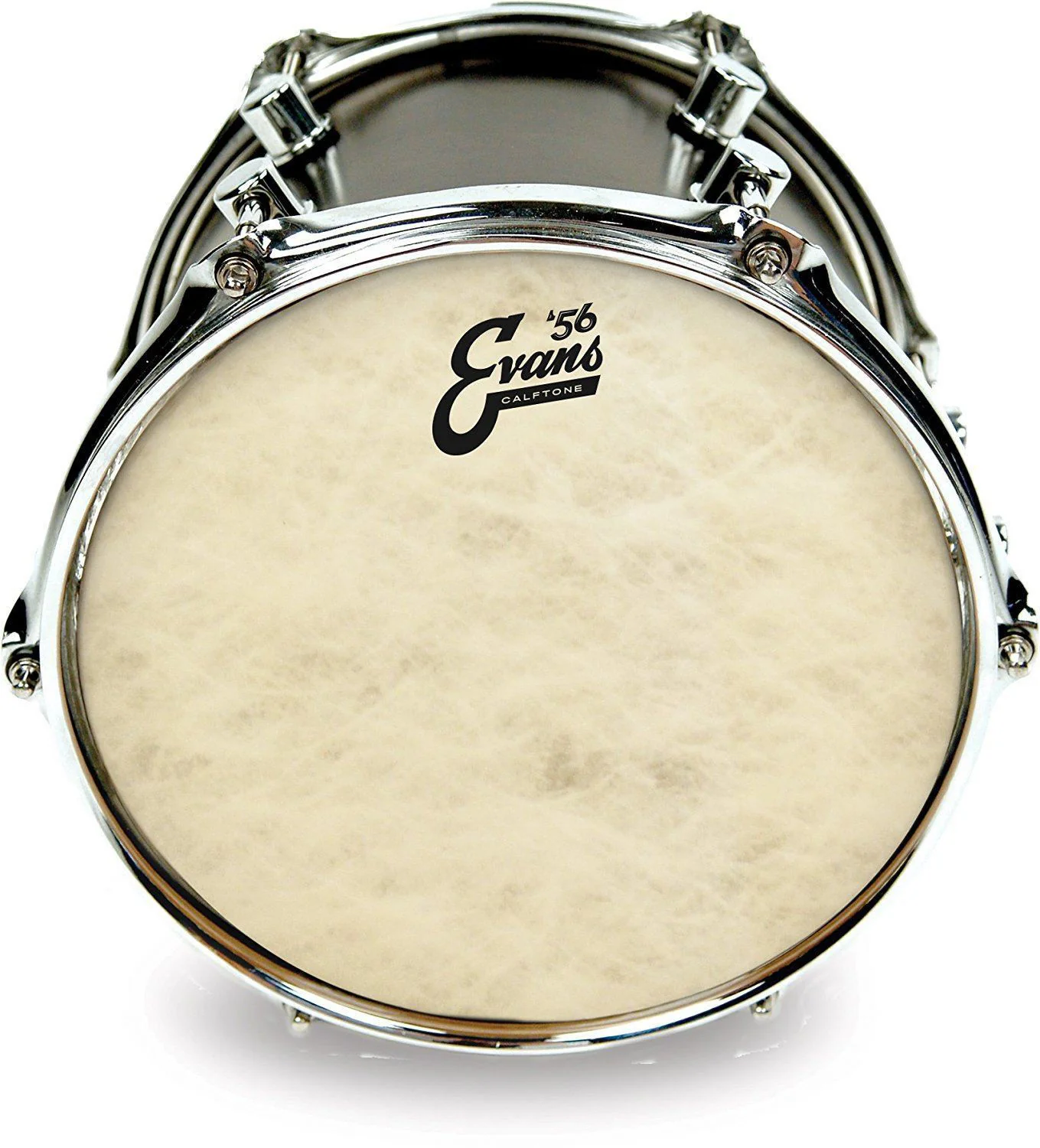 Evans TT14C7 Calftone Tom Batter Drumhead - 14 Inch - Image 5