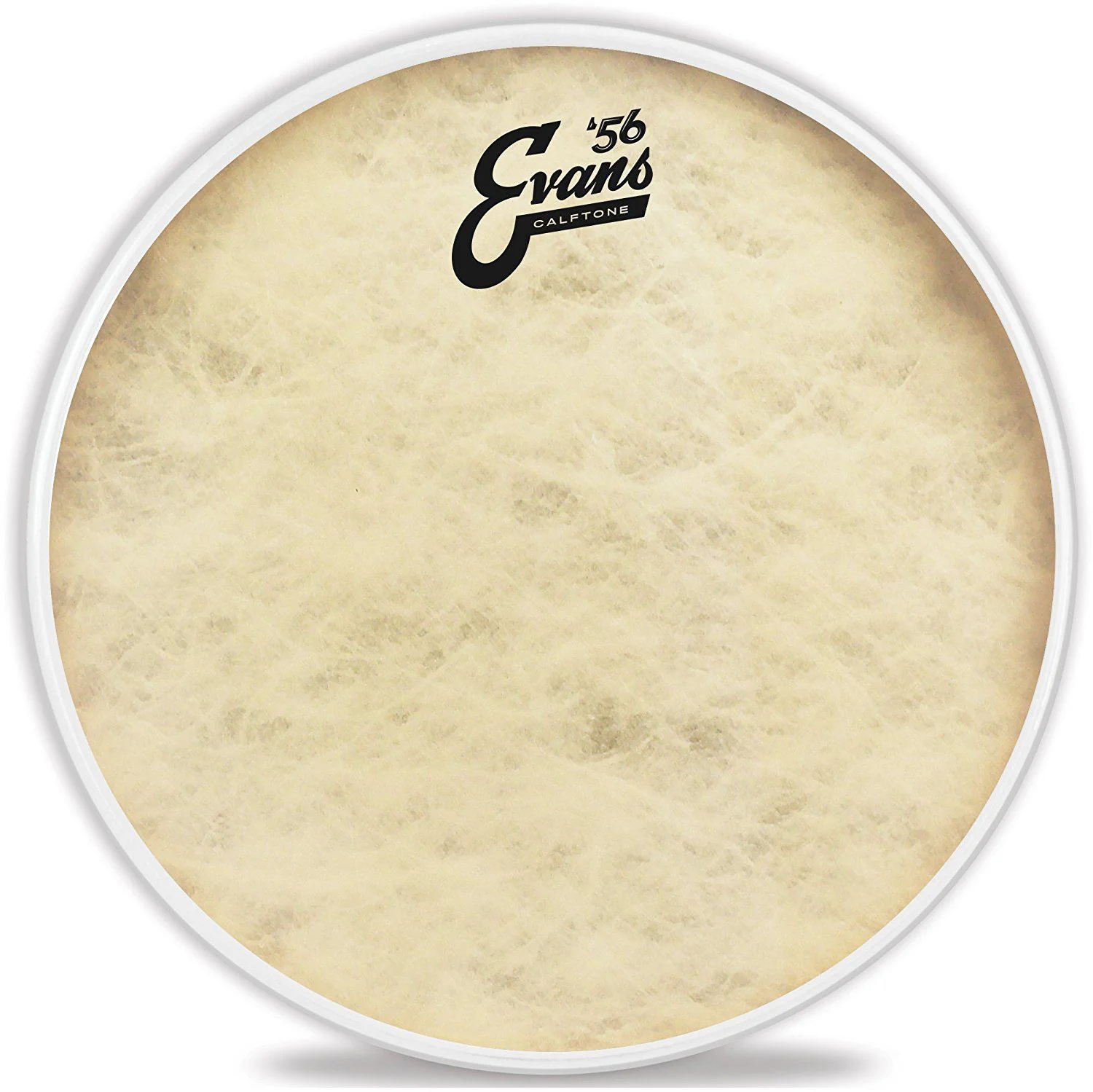 Evans TT15C7 Calftone Tom Batter Drumhead - 15 Inch - Image 5