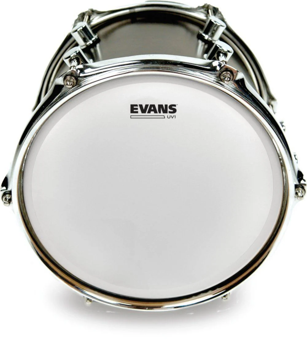 Evans UV1 Coated Drum Head - 12 Inch (B12UV1) - Image 2