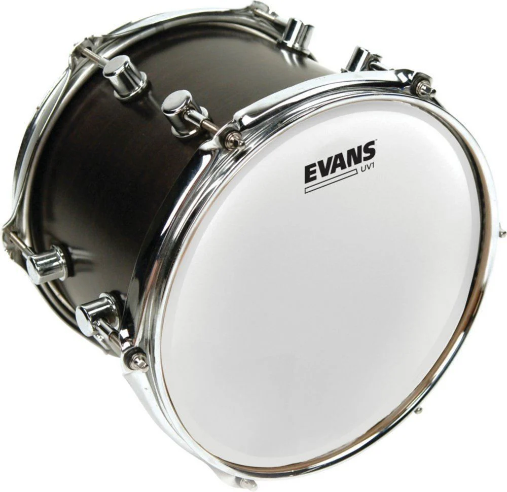 Evans UV1 Coated Drum Head - 14 Inch (B14UV1)