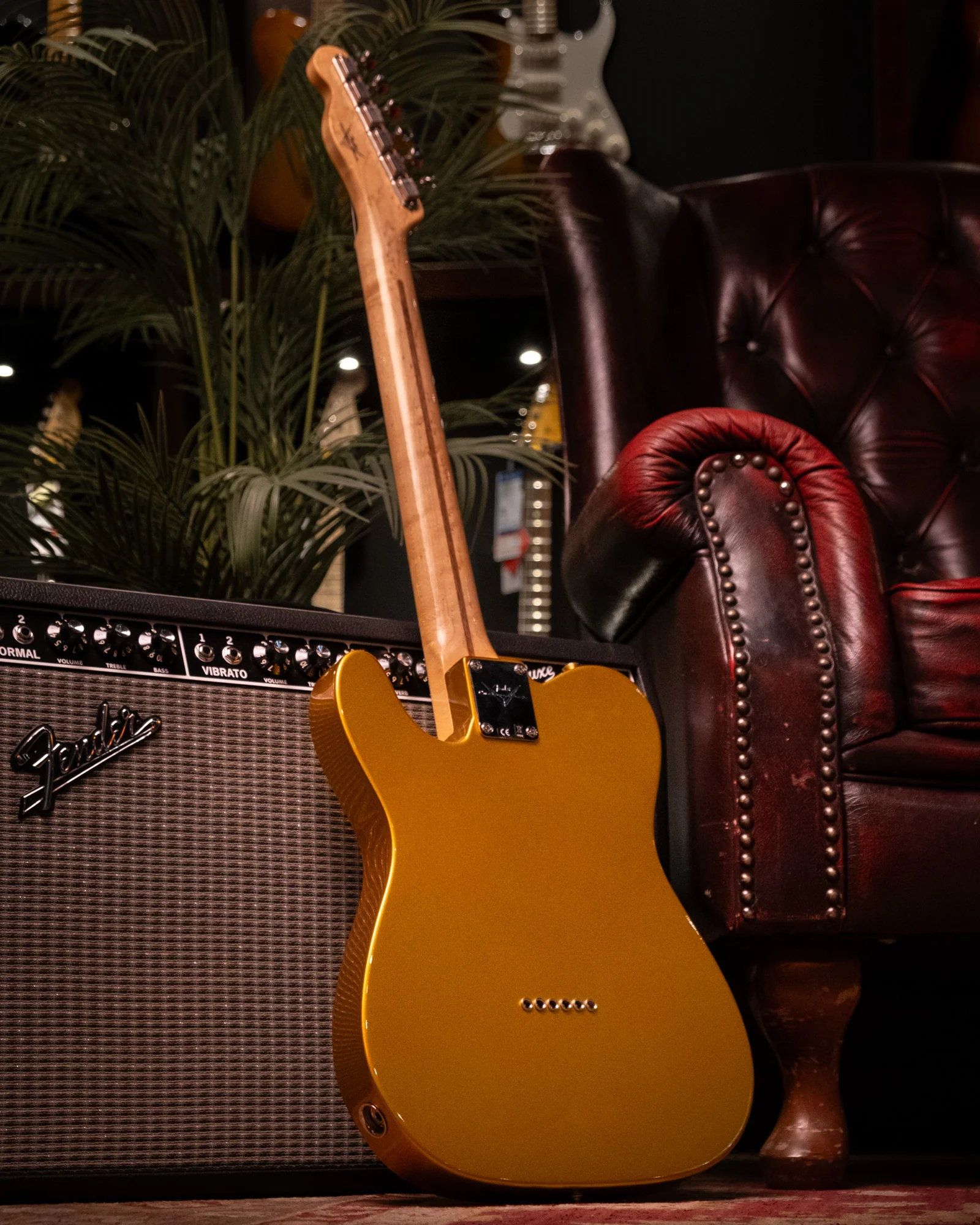 Fender Custom Shop Danny Gatton Signature Telecaster Electric Guitar with Maple Fretboard in Frost Gold - Image 2