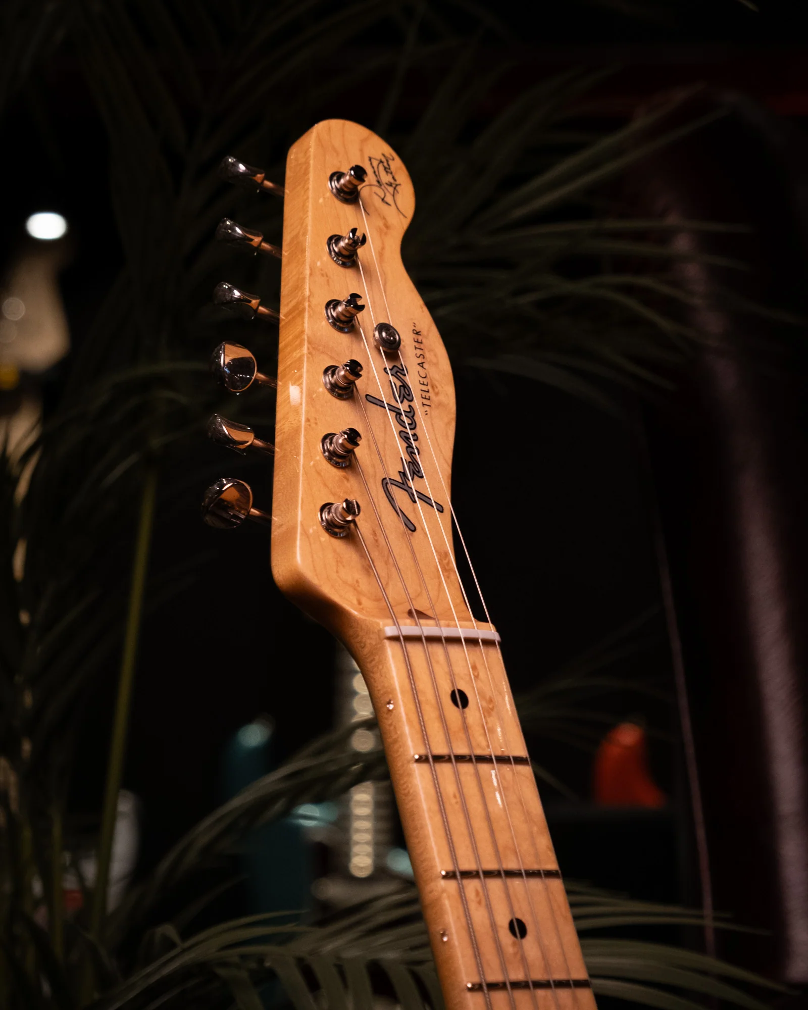 Fender Custom Shop Danny Gatton Signature Telecaster Electric Guitar with Maple Fretboard in Frost Gold - Image 5