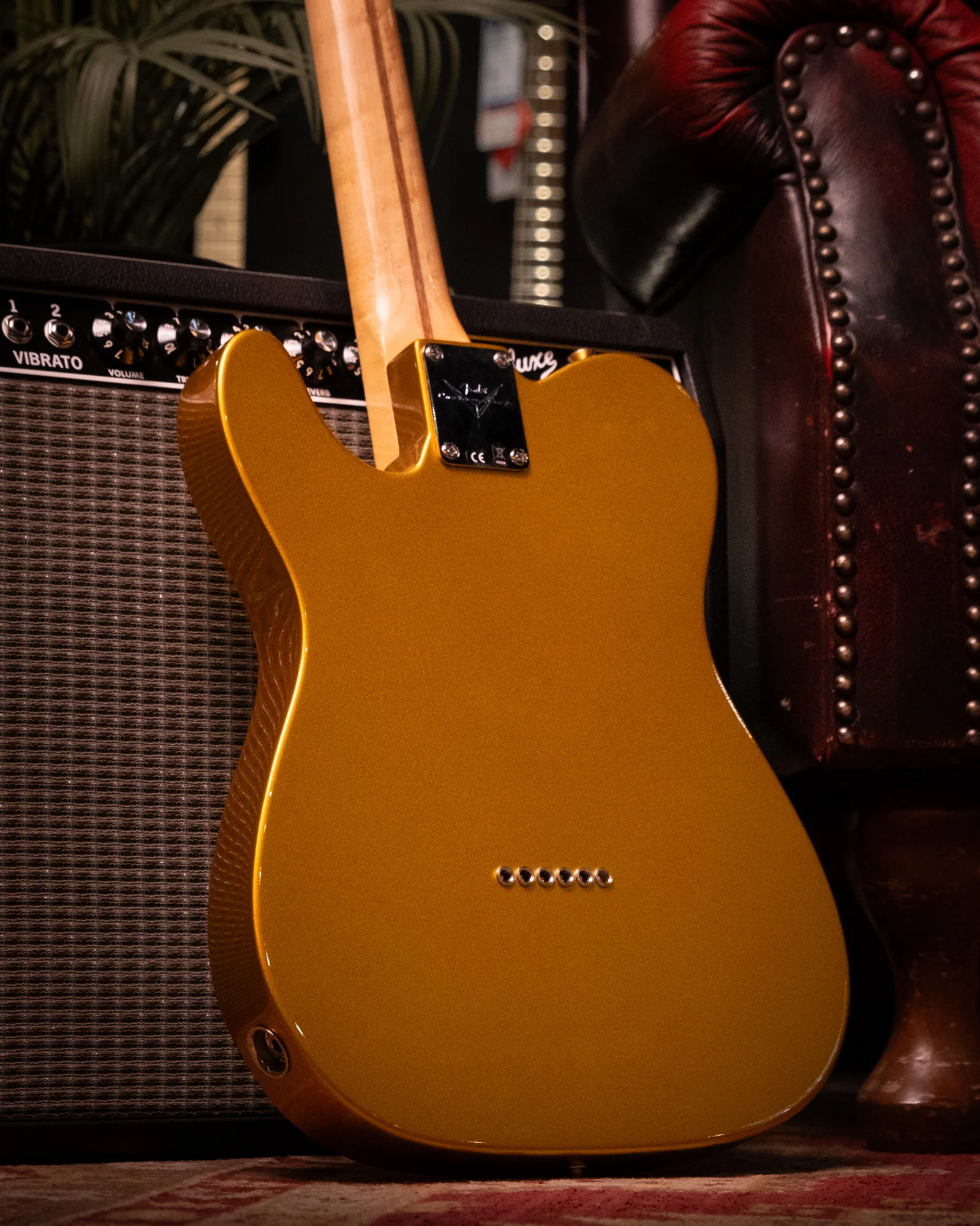 Fender Custom Shop Danny Gatton Signature Telecaster Electric Guitar with Maple Fretboard in Frost Gold - Image 6