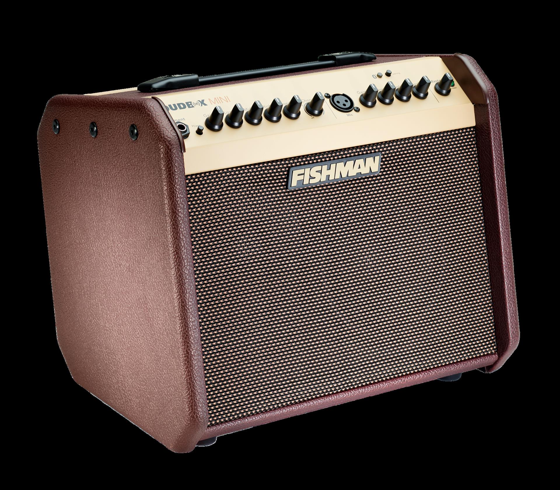 Fishman Loudbox Mini Bluetooth Acoustic Guitar Amplifier - Image 9