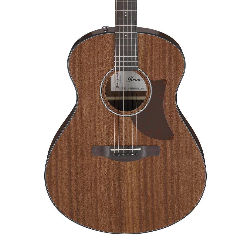 Ibanez AAM54 Acoustic Guitar in Open Pore Natural - Image 4
