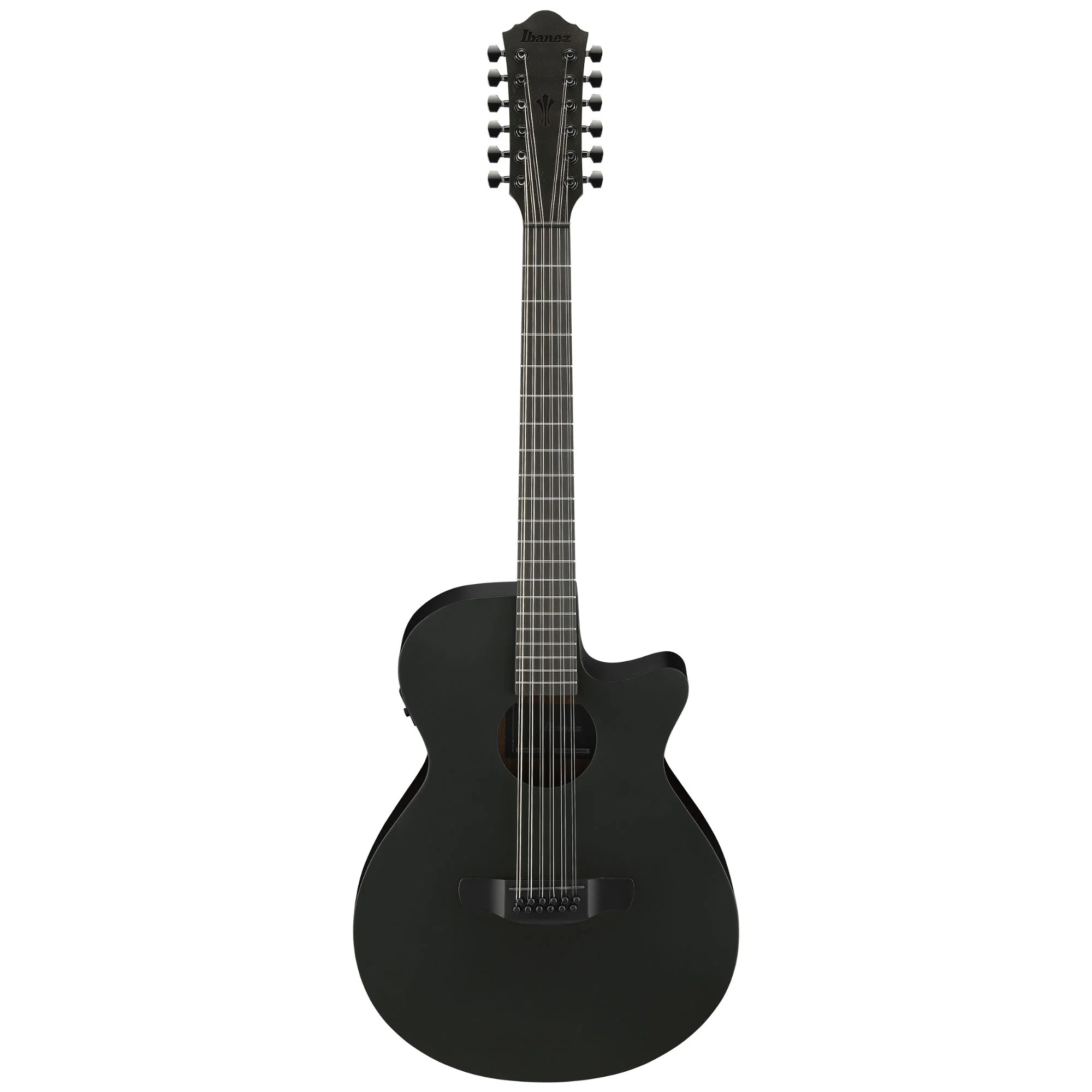 Ibanez AEG1221 Black Out Acoustic Guitar