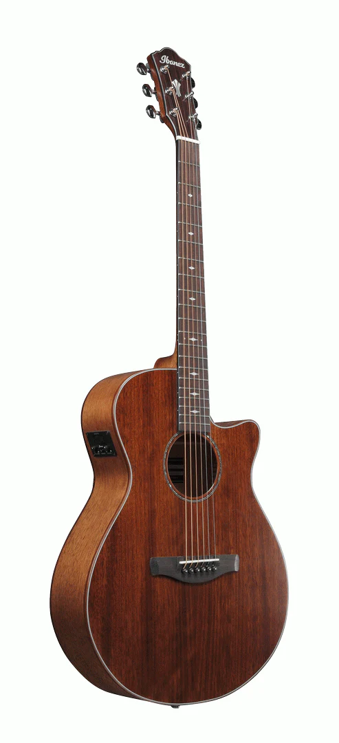 Ibanez AEG220 Acoustic Guitar in Natural Low Gloss - Image 3
