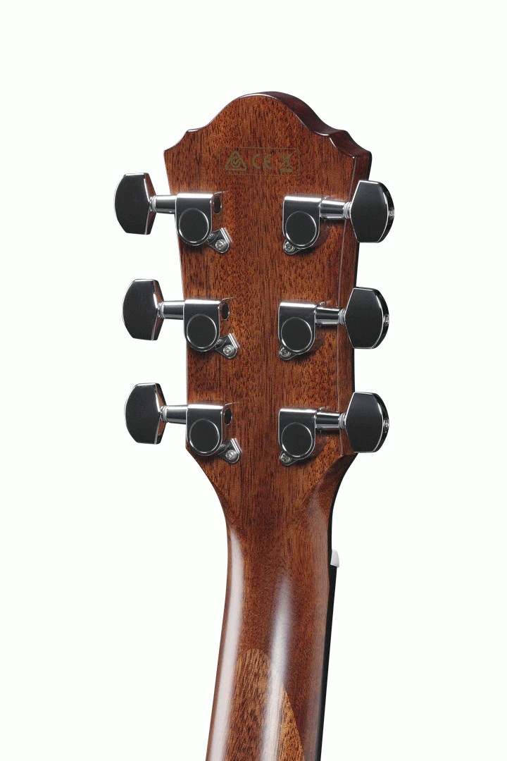 Ibanez AEG220 Acoustic Guitar in Natural Low Gloss - Image 5