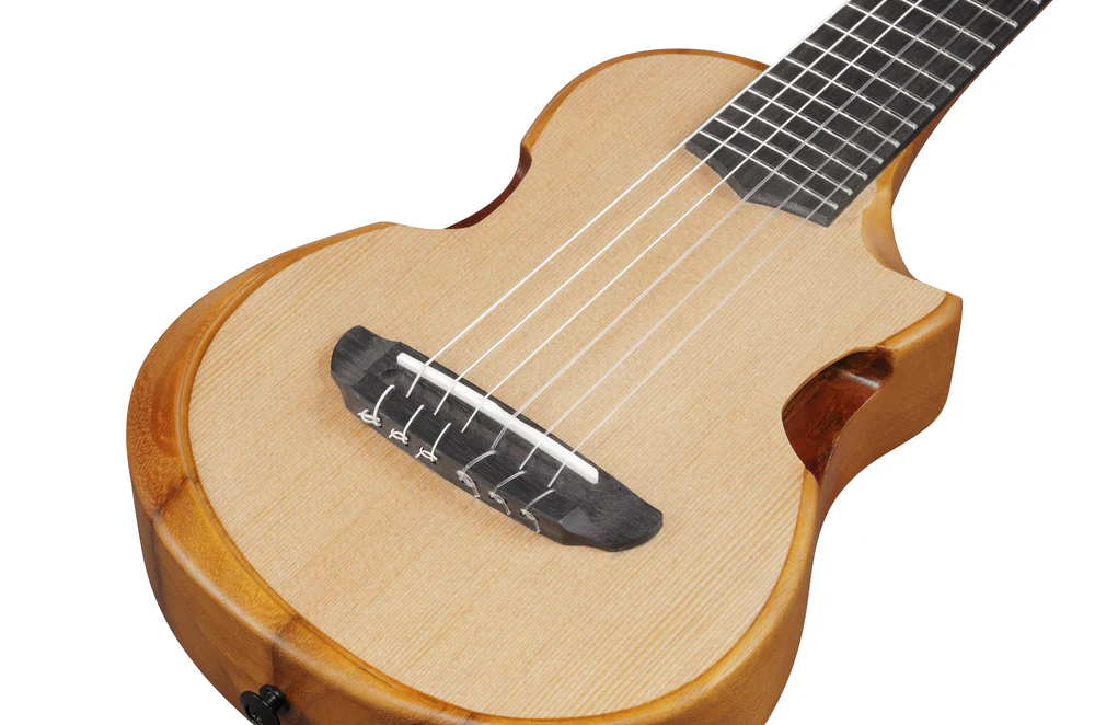 Ibanez AUP10N Ukulele in Open Pore Natural - Image 6