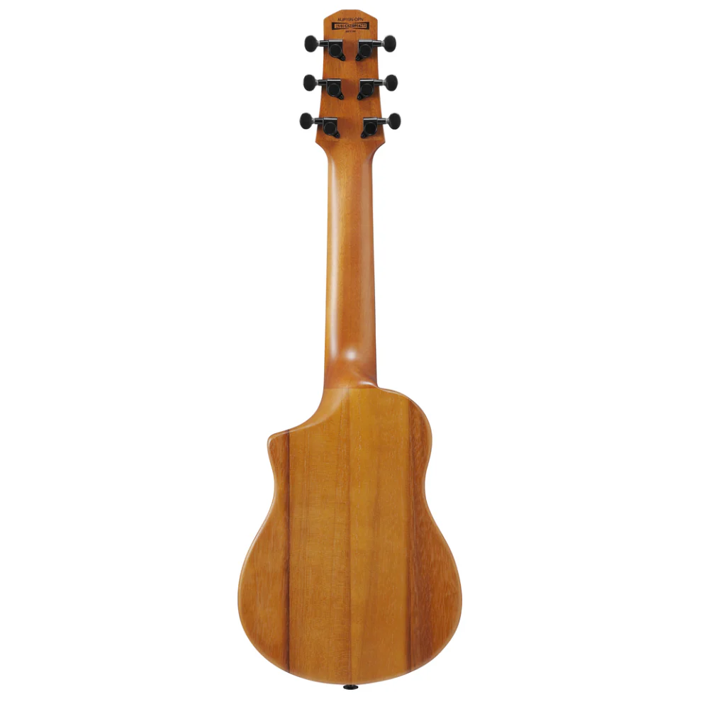 Ibanez AUP10N Ukulele in Open Pore Natural - Image 7
