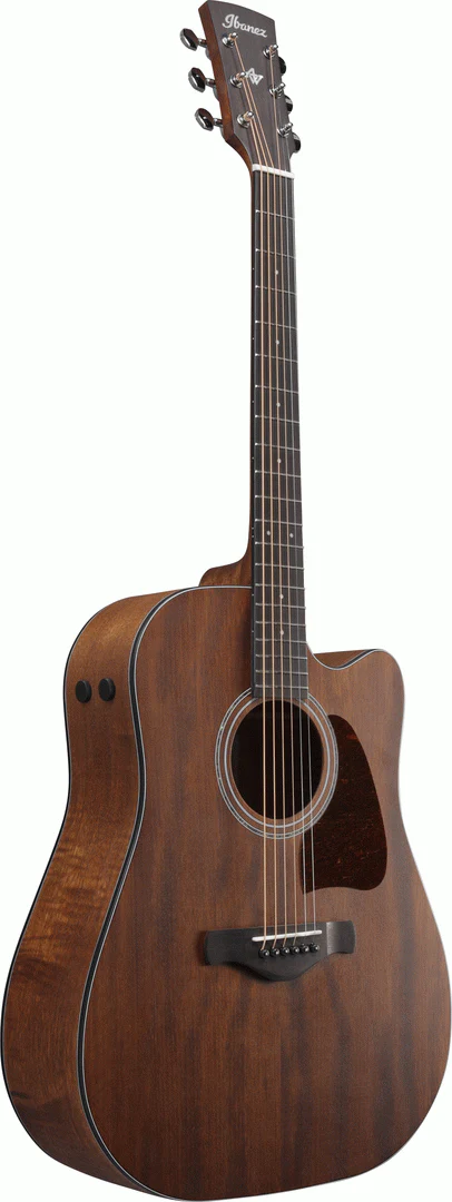 Ibanez AW1040CE All Solid Acoustic Guitar in Open Pore Natural - Image 7