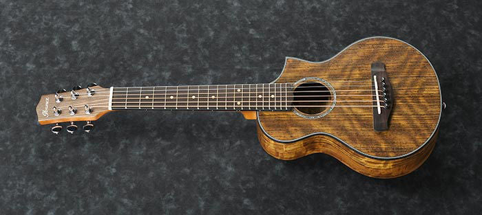 Ibanez EWP14WB OPN Acoustic Guitar-lele with Bag - Image 4