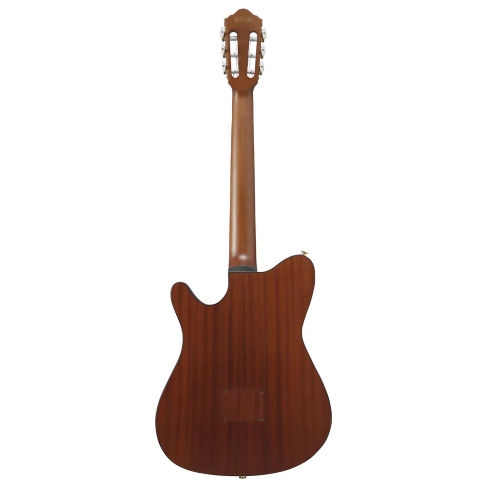 Ibanez FRH10N BSF Nylon String Guitar - Image 5