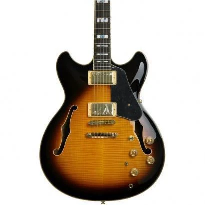 Ibanez JSM10 John Scofield Signature Hollow Body Electric Guitar Vintage - Yellow Sunburst - Image 2