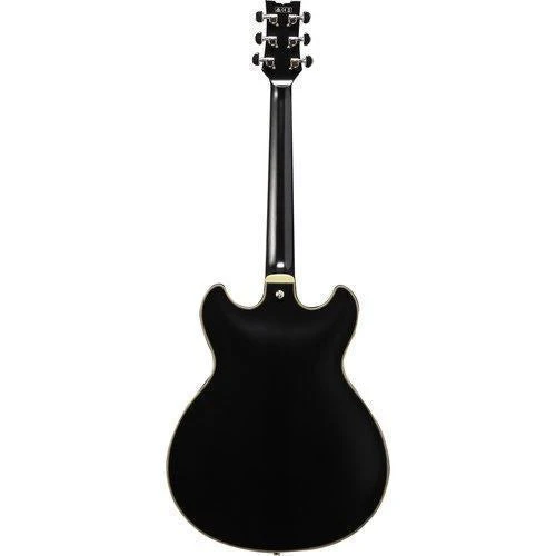 Ibanez JSM20 John Scofield Signature Hollowbody Guitar in Hard Case - Black Low Gloss - Image 3