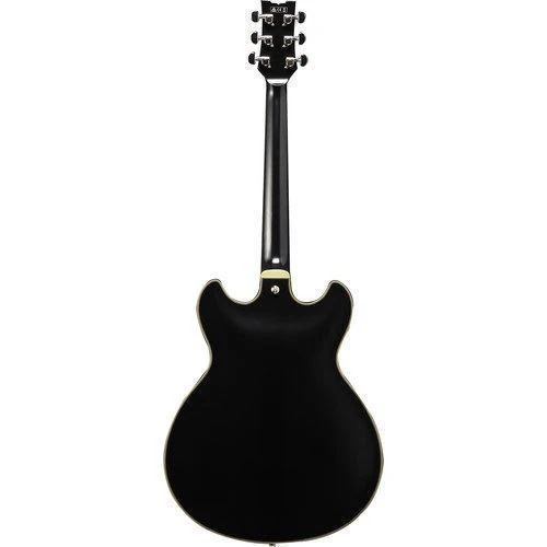 Ibanez JSM20 John Scofield Signature Hollowbody Guitar in Hard Case - Black Low Gloss - Image 4