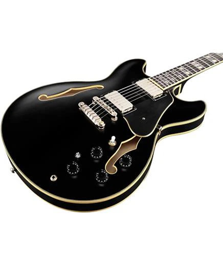 Ibanez JSM20 John Scofield Signature Hollowbody Guitar in Hard Case - Black Low Gloss - Image 5