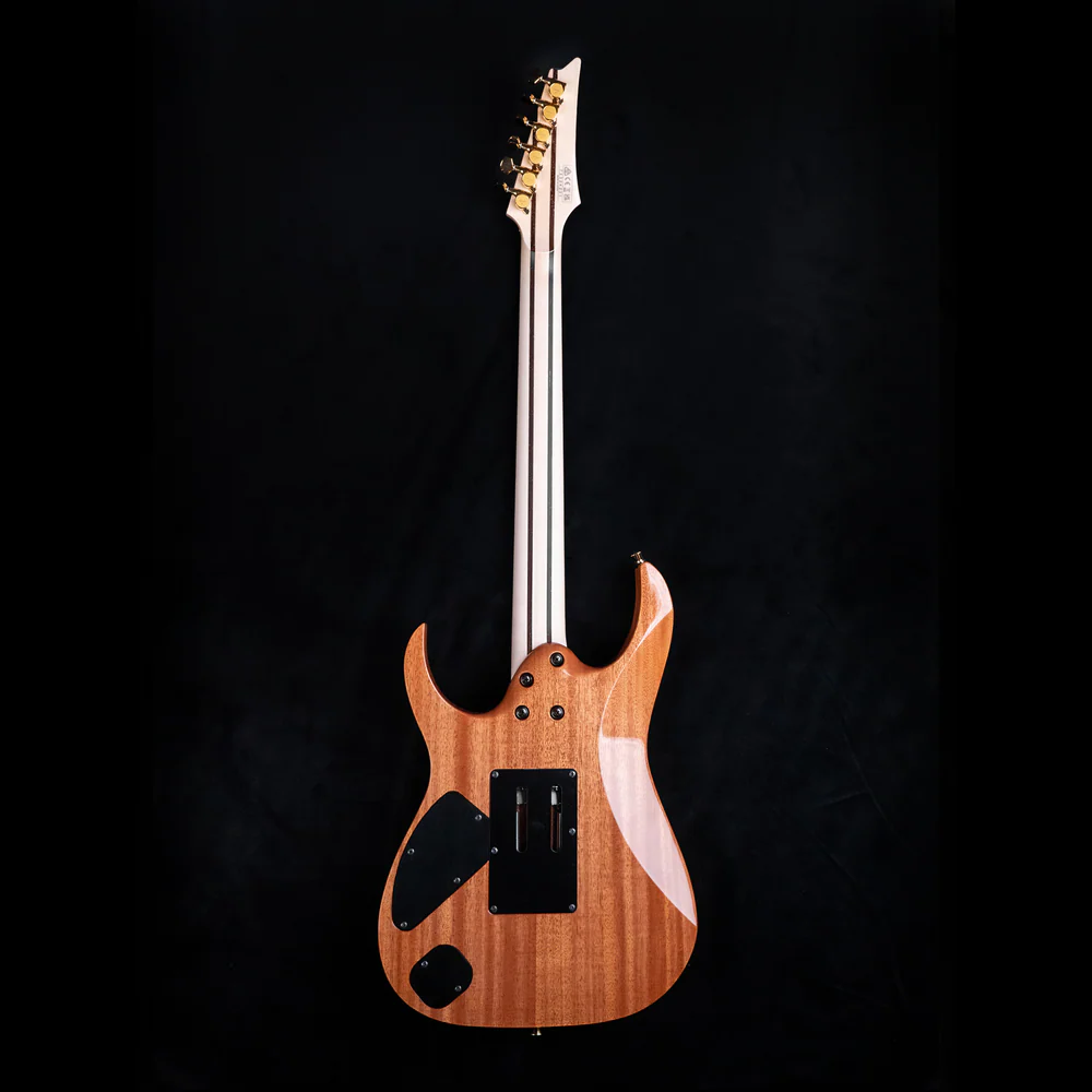 Ibanez Limited Edition 50th Anniversary j.Custom RGRAMG50TH RBB Electric Guitar in Blackwood - Image 2