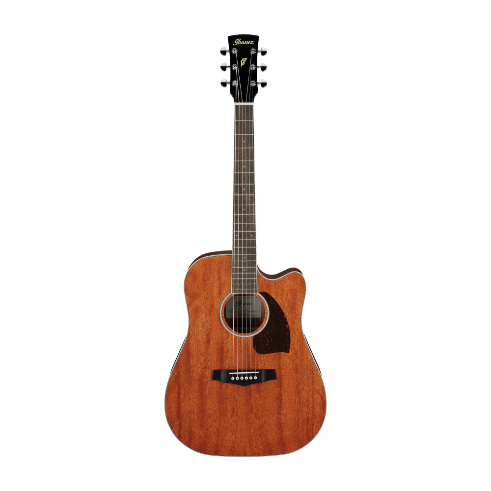 Ibanez PF16MWCE Acoustic Guitar in Open Pore Natural - Image 6