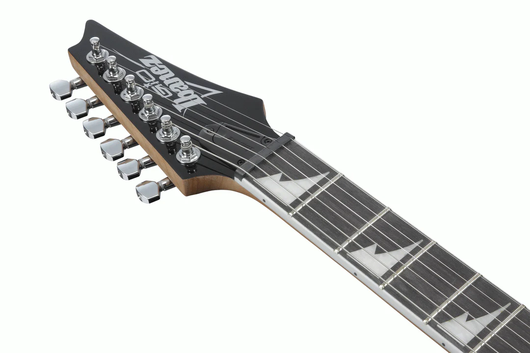 Ibanez RG220PA1 Electric Guitar in Transparent Brown Black Burst - Image 9