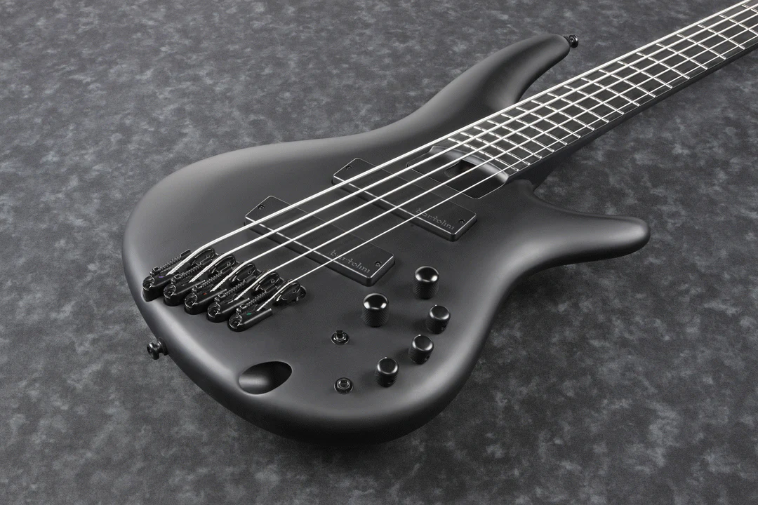 Ibanez SRMS625EX Iron Label 5-String Electric Bass Guitar in Black Flat - Image 6