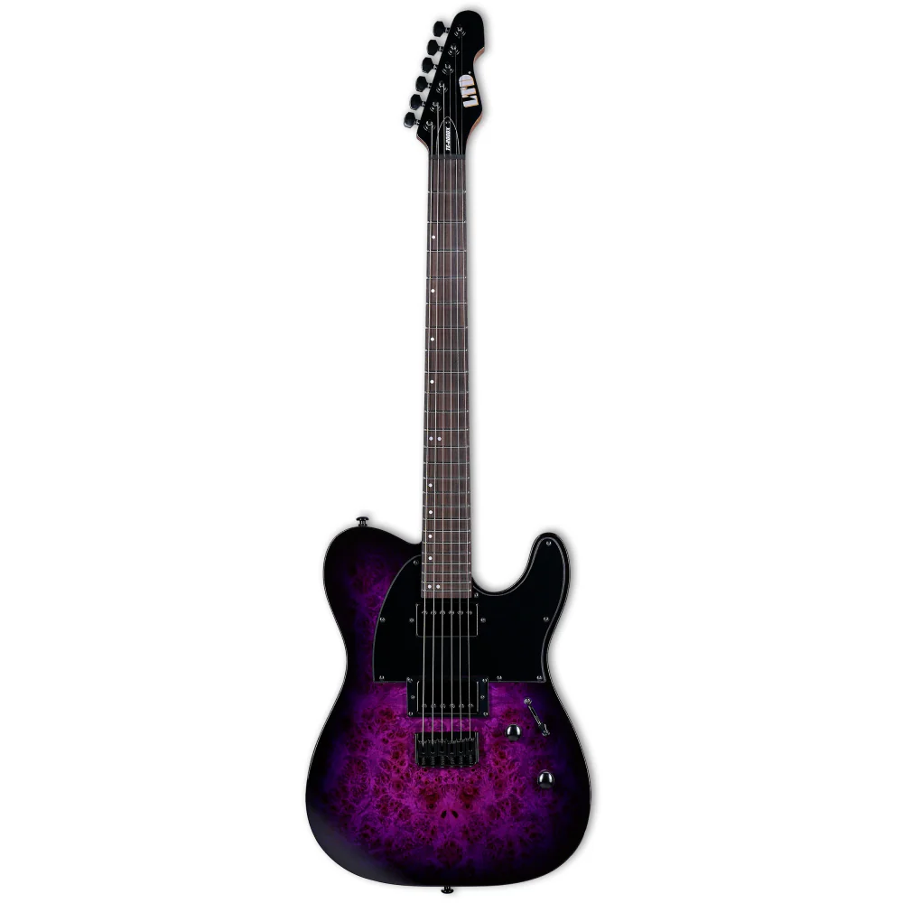 LTD TE-200DXPRB Electric Guitar Purple Burst