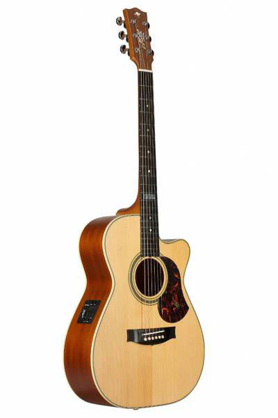 Maton EBG808 TE Cutaway Tommy Emmanuel Acoustic Guitar - Image 5