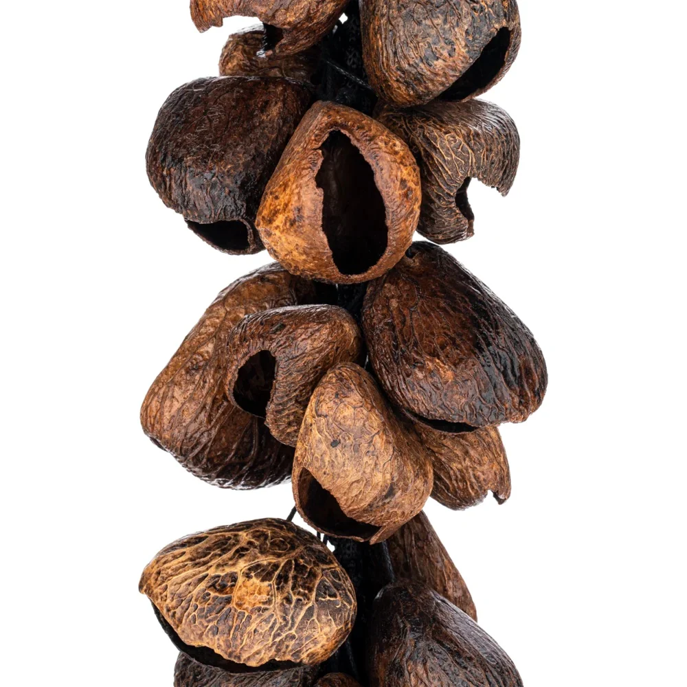 Meinl WA5 Pangi 40 Seeds Waterfall Shaker - Image 2