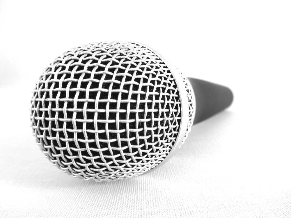 Prodipe M85 Vocal Dynamic Microphone - Image 2