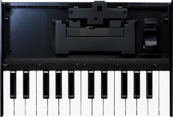 Roland K-25M Boutique Series Keyboard Unit Sound Module