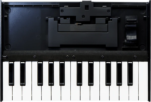Roland K-25M Boutique Series Keyboard Unit Sound Module - Image 2